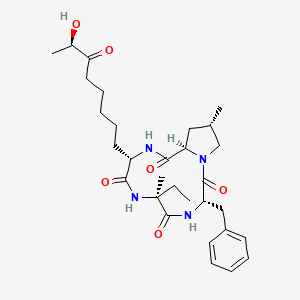molecular formula C30H44N4O6 B1248304 (3S,6S,9S,12R,14S)-3-benzyl-6-ethyl-9-[(7R)-7-hydroxy-6-oxooctyl]-6,14-dimethyl-1,4,7,10-tetrazabicyclo[10.3.0]pentadecane-2,5,8,11-tetrone 