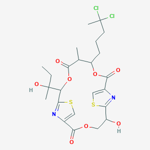 molecular formula C24H30Cl2N2O8S2 B1248445 Lyngbyabellin C 