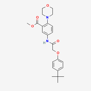 molecular formula C24H30N2O5 B12484745 Methyl 5-{[(4-tert-butylphenoxy)acetyl]amino}-2-(morpholin-4-yl)benzoate 
