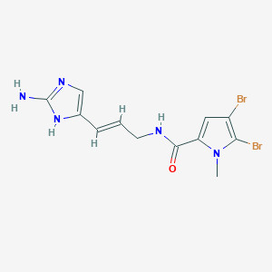 molecular formula C12H13Br2N5O B1248496 Sventrin 