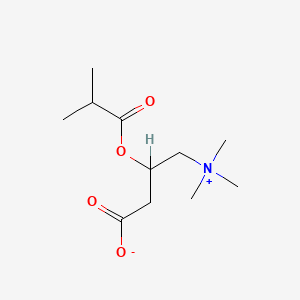 molecular formula C11H21NO4 B1248608 ISOBUTYROYL CARNITINE 