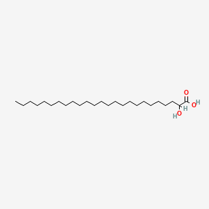 molecular formula C25H50O3 B1248794 2-Hydroxypentacosanoic acid 