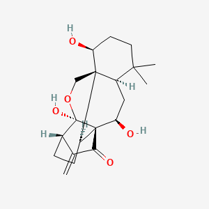 molecular formula C20H28O5 B1248848 Excisanin H 