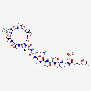 (4R)-5-[[(2S)-1-[[(2S)-1-[[(2S)-1-[(2R)-2-[[(2S)-5-amino-1-[[(2R,3S)-1-[[(3S,6Z,9S,12S,15S,18R,19R)-9-benzyl-6-ethylidene-19-methyl-2,5,8,11,14,17-hexaoxo-3,12,15-tri(propan-2-yl)-1-oxa-4,7,10,13,16-pentazacyclononadec-18-yl]amino]-3-methyl-1-oxopentan-2-yl]amino]-1-oxopentan-2-yl]carbamoyl]pyrrolidin-1-yl]-3-methyl-1-oxobutan-2-yl]amino]-3-methyl-1-oxobutan-2-yl]amino]-3-methyl-1-oxobutan-2-yl]amino]-4-[(5-hydroxy-7-methyloctanoyl)amino]-5-oxopentanoic acid