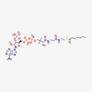 molecular formula C28H48N7O17P3S B1248970 C7:0-CoA CAS No. 17331-97-4