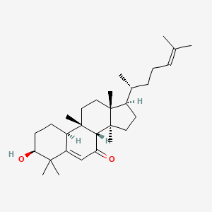 molecular formula C30H48O2 B1248987 7-Oxo-10alpha-cucurbitadienol 