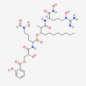 molecular formula C34H55N7O13 B1249049 Asterobactin 
