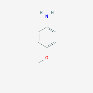 molecular formula C8H11NO B124905 p-Phenetidine CAS No. 156-43-4