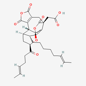 molecular formula C31H36O9 B1249068 Phomoidride D 