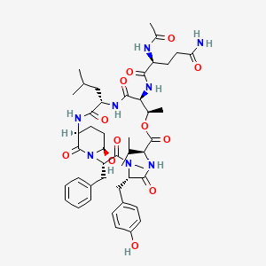 molecular formula C46H64N8O12 B1249164 nostopeptin BN920 
