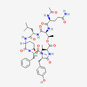 nostopeptin BN920