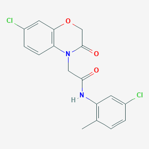 molecular formula C17H14Cl2N2O3 B12491642 N-(5-chloro-2-methylphenyl)-2-(7-chloro-3-oxo-2,3-dihydro-4H-1,4-benzoxazin-4-yl)acetamide 