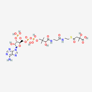 molecular formula C26H42N7O20P3S B1249208 Citramalyl-CoA 