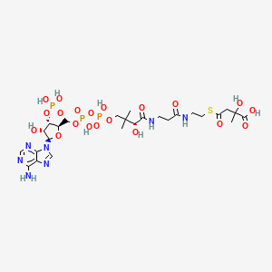 4-[2-[3-[[(2R)-4-[[[(2R,3S,4R,5R)-5-(6-aminopurin-9-yl)-4-hydroxy-3-phosphonooxyoxolan-2-yl]methoxy-hydroxyphosphoryl]oxy-hydroxyphosphoryl]oxy-2-hydroxy-3,3-dimethylbutanoyl]amino]propanoylamino]ethylsulfanyl]-2-hydroxy-2-methyl-4-oxobutanoic acid