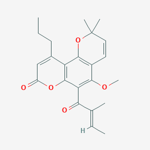 molecular formula C23H26O5 B1249219 5-methoxy-2,2-dimethyl-6-[(E)-2-methylbut-2-enoyl]-10-propyl-pyrano[2,3-f]chromen-8-one 