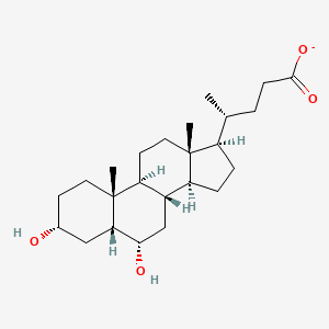 molecular formula C24H39O4- B1249313 Hyodeoxycholate 