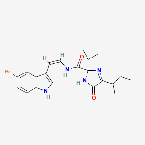 molecular formula C21H25BrN4O2 B1249335 Kottamide C 