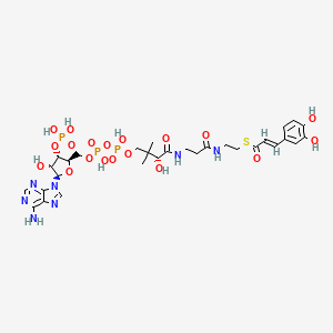 molecular formula C30H42N7O19P3S B1249384 咖啡酰辅酶A 