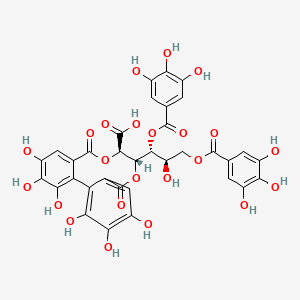 molecular formula C34H26O23 B1249449 Shephagenin B CAS No. 182166-72-9