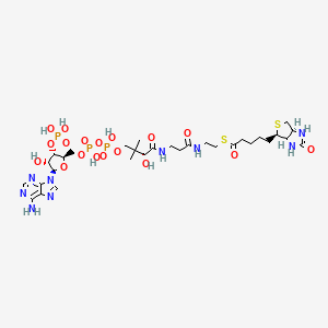 molecular formula C31H50N9O18P3S2 B1249455 Biotinyl-CoA 