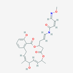 molecular formula C27H32N2O8 B1249475 Lobatamide A 