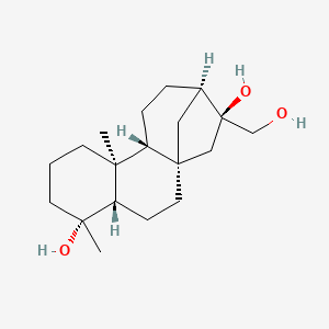molecular formula C19H32O3 B1249476 Annosquamosin B 