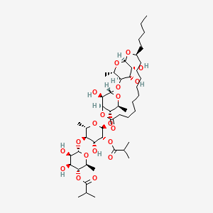 molecular formula C48H82O20 B1249482 [(2S,3R,4S,5R,6S)-4,5-dihydroxy-6-[(2S,3R,4R,5R,6S)-4-hydroxy-2-methyl-5-(2-methylpropanoyloxy)-6-[[(1R,3S,5S,6S,7S,19S,21R,23S,24S,25R,26R)-24,25,26-trihydroxy-5,23-dimethyl-9-oxo-19-pentyl-2,4,8,20,22-pentaoxatricyclo[19.2.2.13,7]hexacosan-6-yl]oxy]oxan-3-yl]oxy-2-methyloxan-3-yl] 2-methylpropanoate 
