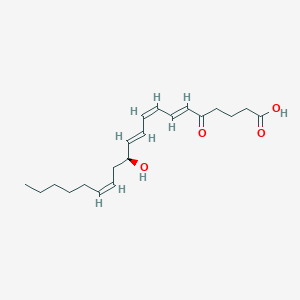 molecular formula C20H30O4 B1249497 5-oxo-12-HETE 