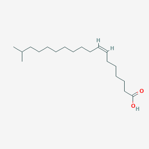 molecular formula C19H36O2 B1249631 17-甲基-7Z-十八碳烯酸 