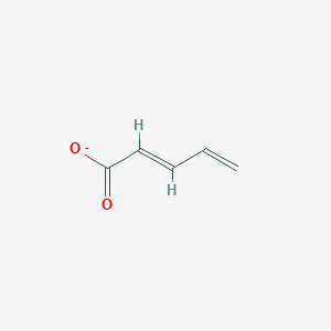 molecular formula C5H5O2- B1249696 戊二烯-2,4-二酸酯 
