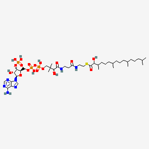molecular formula C41H74N7O18P3S B1249771 2-Hydroxyphytanoyl-CoA 