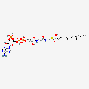 molecular formula C41H74N7O18P3S B1249771 2-hydroxyphytanoyl-coenzyme A 
