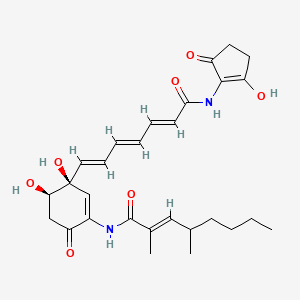 (2E)-N-[(3S,4R)-3,4-dihydroxy-3-{(1E,3E,5E)-7-[(2-hydroxy-5-oxocyclopent-1-en-1-yl)amino]-7-oxohepta-1,3,5-trien-1-yl}-6-oxocyclohex-1-en-1-yl]-2,4-dimethyloct-2-enamide