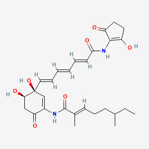 molecular formula C28H36N2O7 B1249975 (2E)-N-[(3S,4R)-3,4-dihydroxy-3-{(1E,3E,5E)-7-[(2-hydroxy-5-oxocyclopent-1-en-1-yl)amino]-7-oxohepta-1,3,5-trien-1-yl}-6-oxocyclohex-1-en-1-yl]-2,6-dimethyloct-2-enamide 