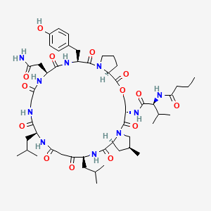 Nostopeptolide A2