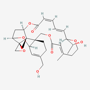 molecular formula C29H38O9 B1250027 16-hydroxyroridin E 