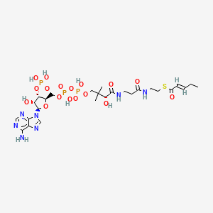 molecular formula C26H42N7O17P3S B1250235 pent-2-enoyl-CoA 