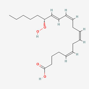 (5Z,8Z,11Z,13E,15R)-15-hydroperoxyicosa-5,8,11,13-tetraenoic acid