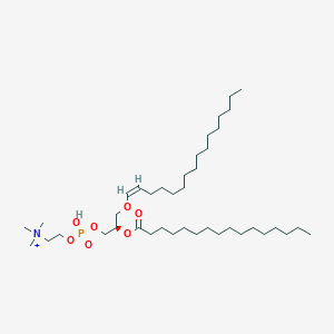 molecular formula C40H81NO7P+ B1250302 Plasmenylcholine 
