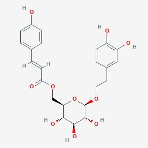 6'-coumaroyl-1'-O-[2-(3,4-dihydroxyphenyl)ethyl]-beta-D-glucopyranoside