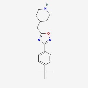 molecular formula C18H25N3O B12504111 4-{[3-(4-Tert-butylphenyl)-1,2,4-oxadiazol-5-yl]methyl}piperidine CAS No. 1400540-42-2