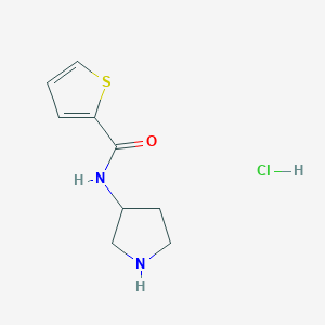 molecular formula C9H13ClN2OS B12505263 N-(pyrrolidin-3-yl)thiophene-2-carboxamide hydrochloride 