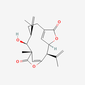 molecular formula C20H24O5 B1250624 Kallosin A 