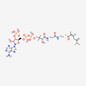 molecular formula C31H50N7O17P3S B1250653 cis-2-Methyl-5-isopropylhexa-2,5-dienoyl-CoA 