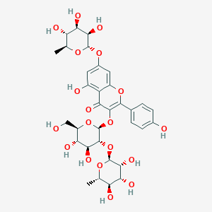 kaempferol 3-O-[alpha-L-rhamnopyranosyl(1->2)-beta-D-glucopyranosyl]-7-O-alpha-L-rhamnopyranoside