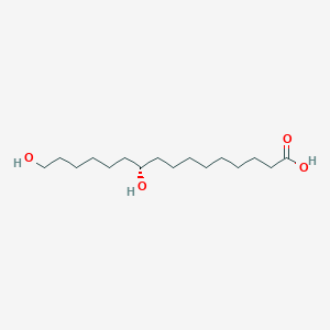 molecular formula C16H32O4 B1250877 (s)-10,16-Dihydroxyhexadecanoic acid 