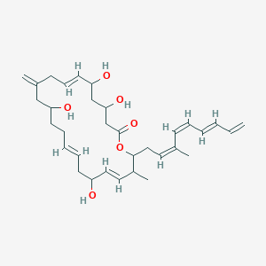 molecular formula C33H48O6 B1251012 (7E,15E,19E)-4,6,12,18-tetrahydroxy-21-methyl-10-methylidene-22-[(2Z,4Z,6E)-3-methylnona-2,4,6,8-tetraenyl]-1-oxacyclodocosa-7,15,19-trien-2-one 