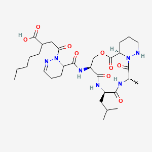 molecular formula C31H49N7O9 B1251119 Lydiamycin A 