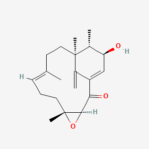 Phomactin B2