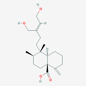molecular formula C20H32O4 B1251343 Porwenin A 